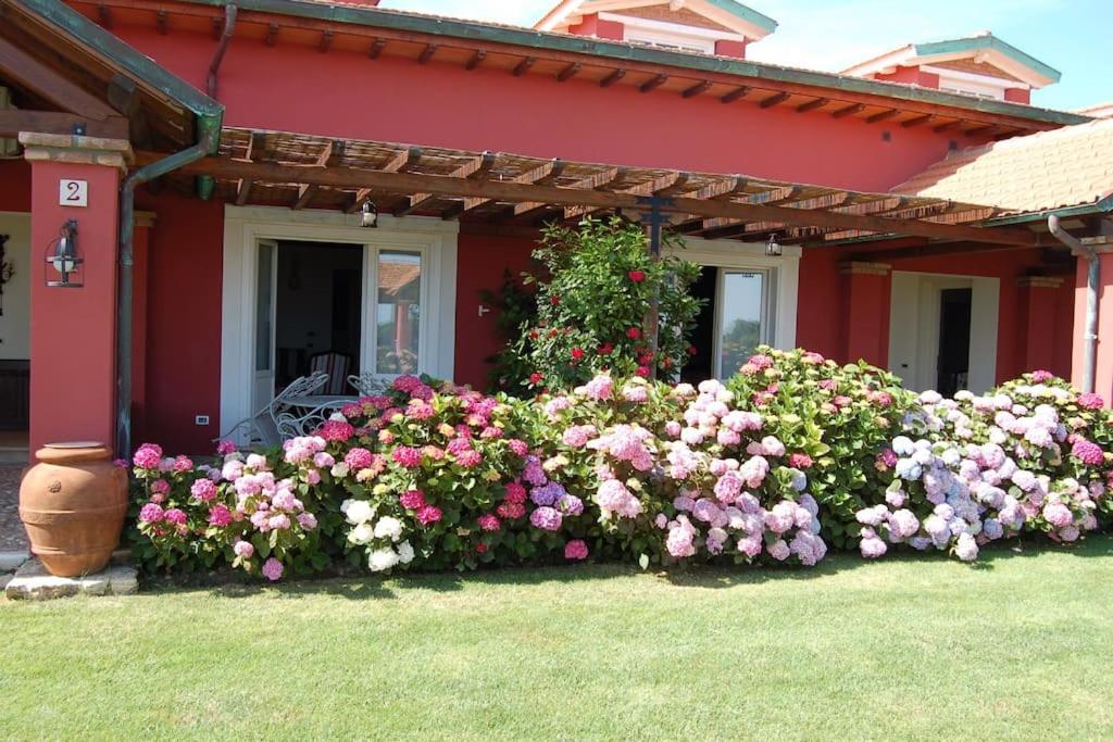 La Pecora Ladra Appartamenti Montalto di Castro Exterior photo
